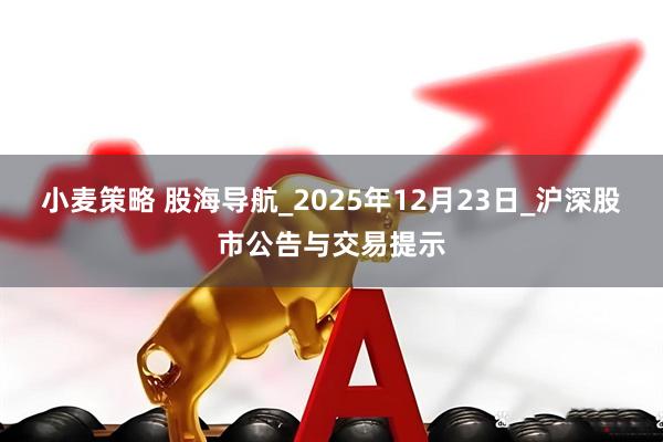 小麦策略 股海导航_2025年12月23日_沪深股市公告与交易提示