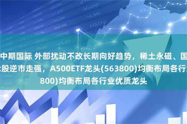 中期国际 外部扰动不改长期向好趋势，稀土永磁、国产软件概念股逆市走强，A500ETF龙头(563800)均衡布局各行业优质龙头